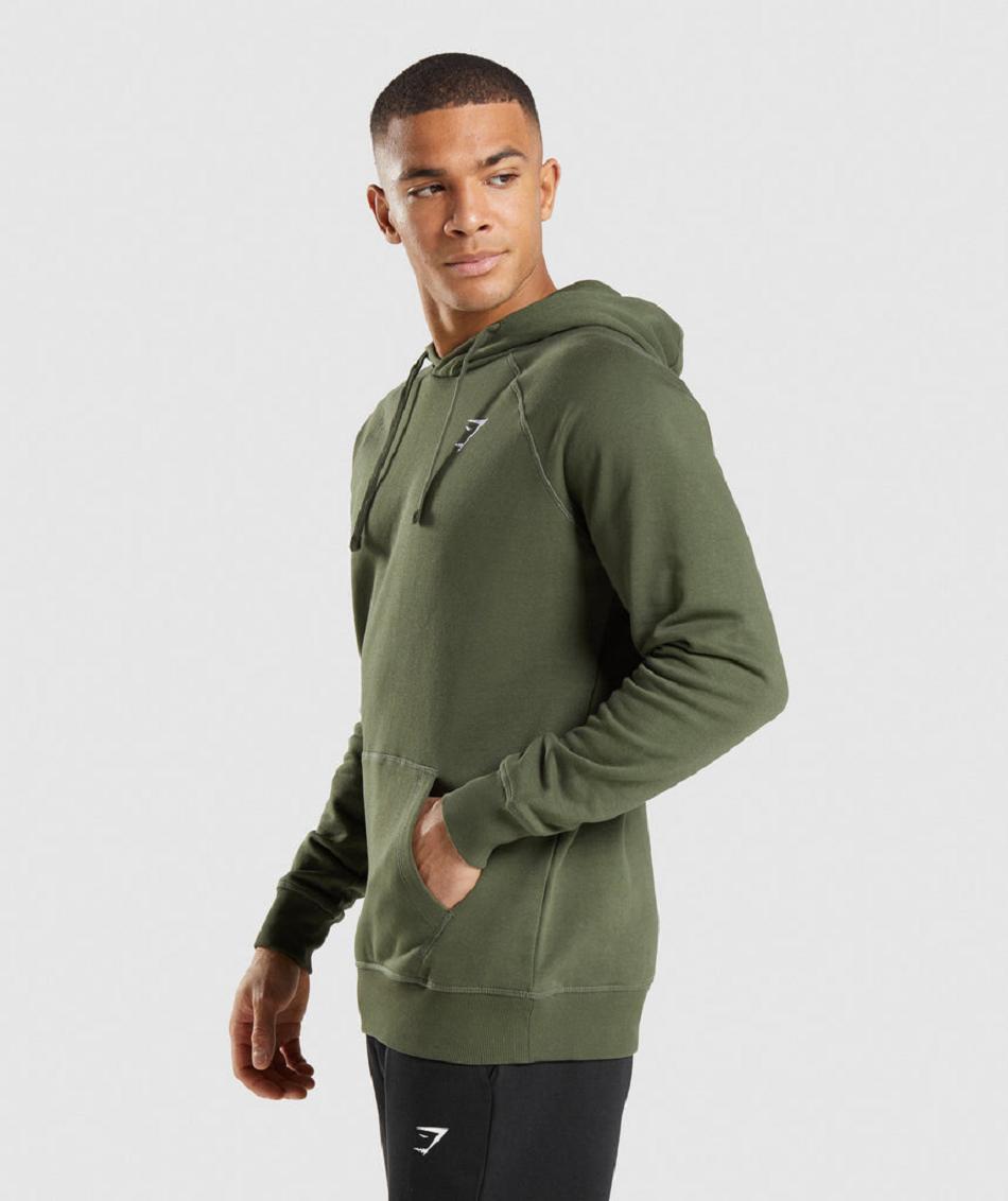 Sudadera Con Capucha Gymshark Crest Hombre Verde Oliva | CO 3606YXF